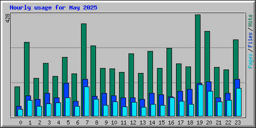 Hourly usage for May 2025