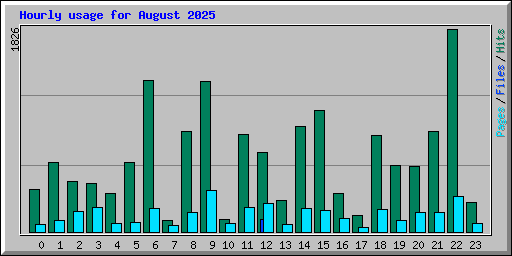 Hourly usage for August 2025